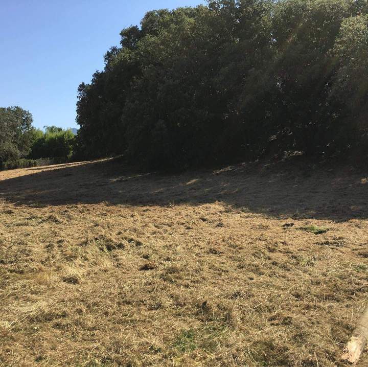 Débroussaillage terrain en Corse-du-Sud