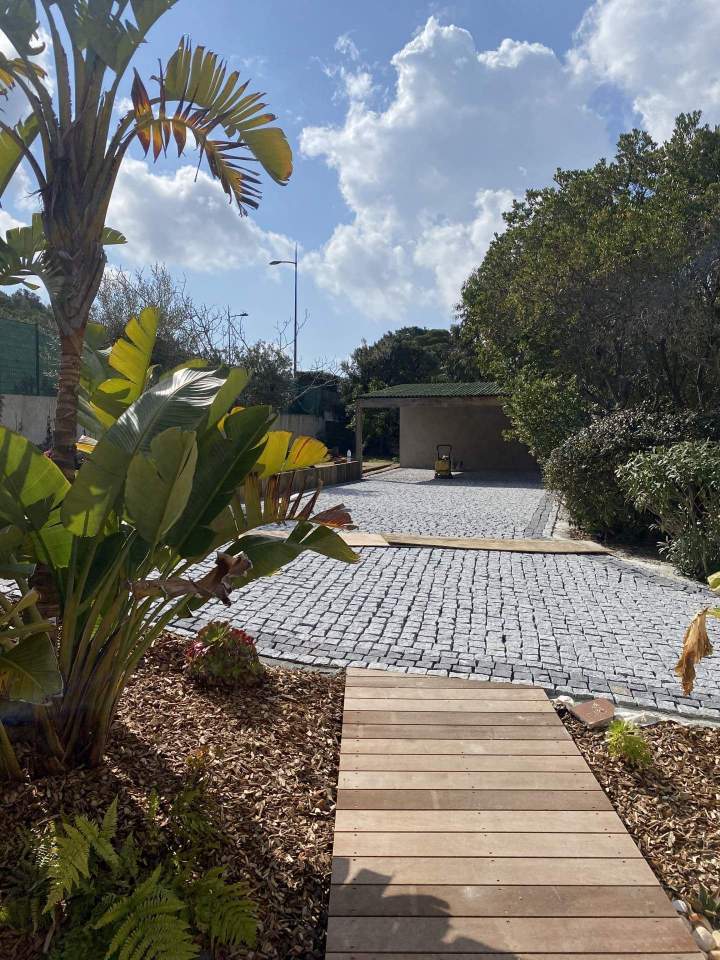 Après 6 aménagement jardin 