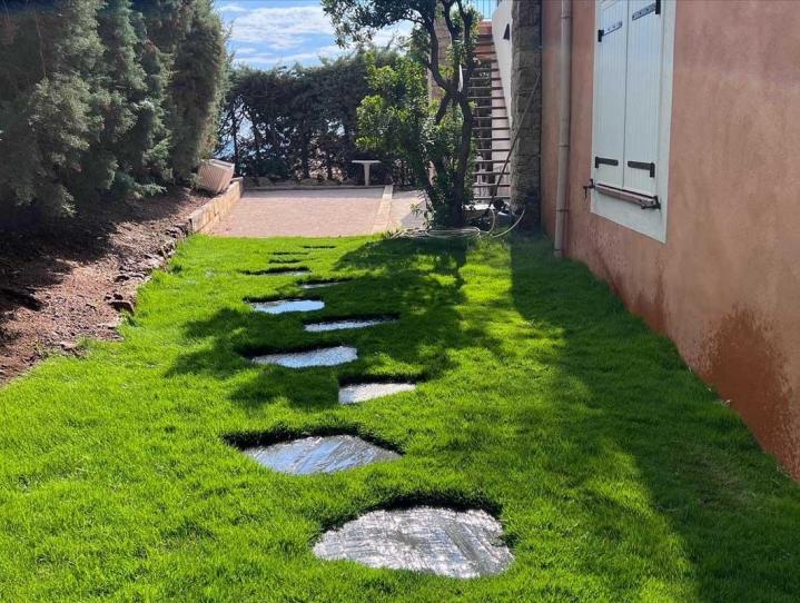 Entretien espace vert Ajaccio