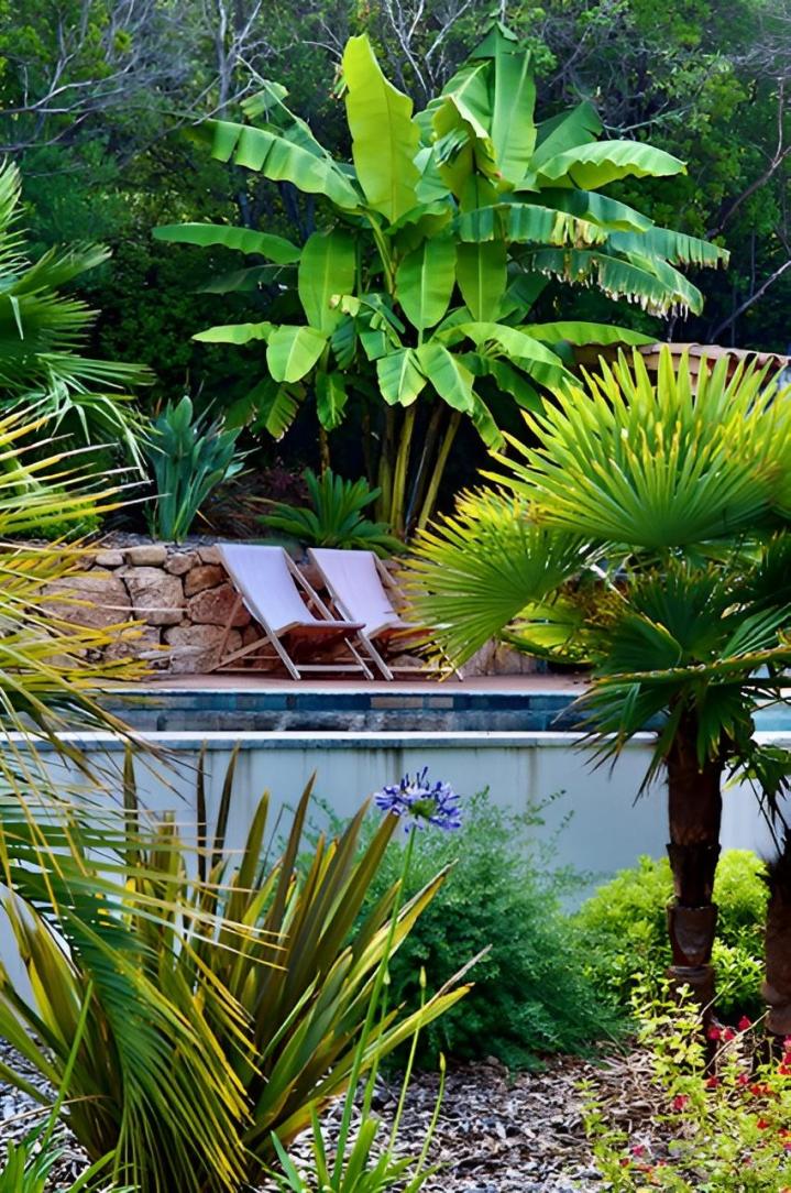 Aménagement jardin Ajaccio