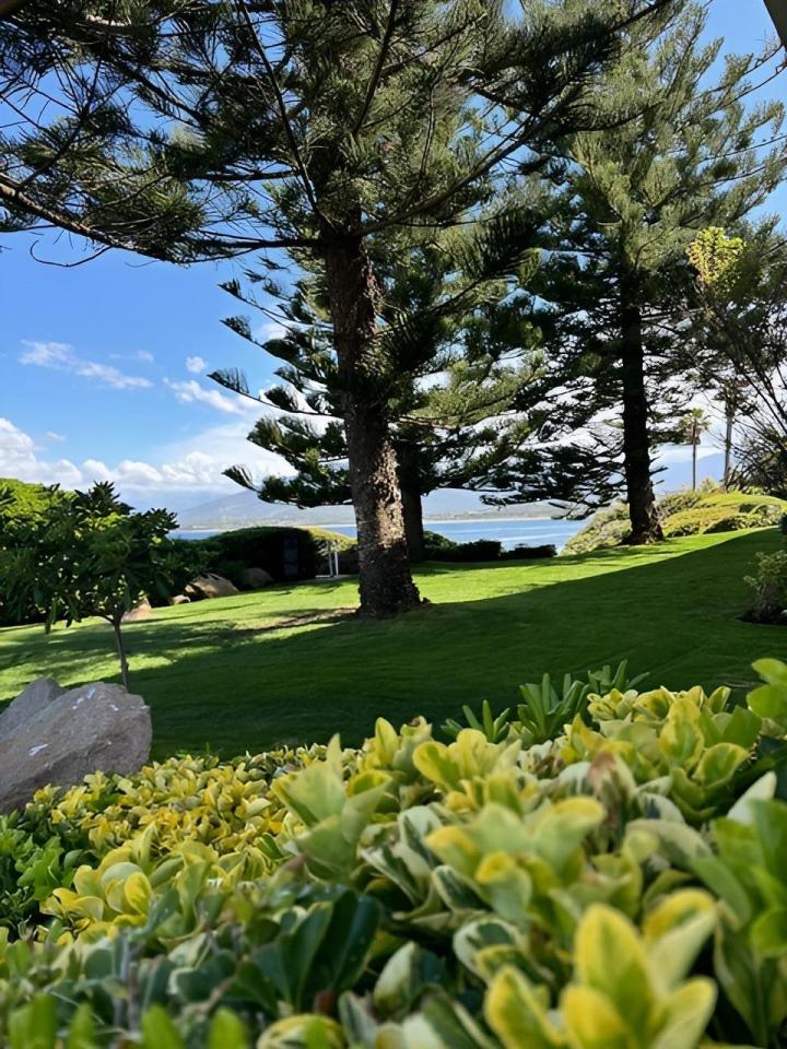 Entretien espace vert Ajaccio