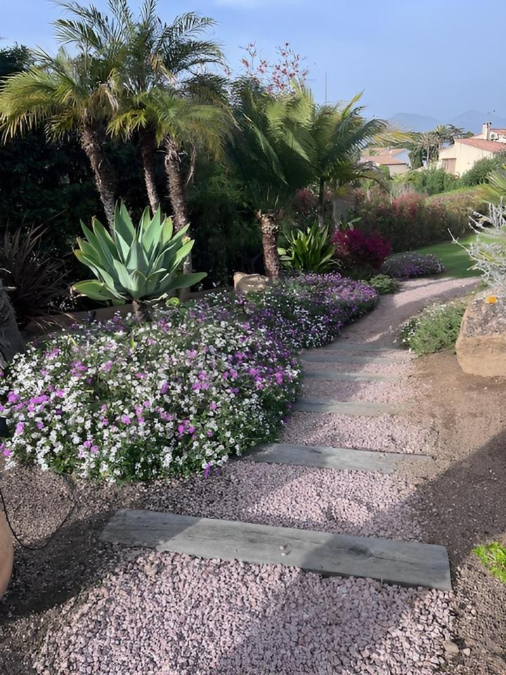 Aménagement jardin Ajaccio