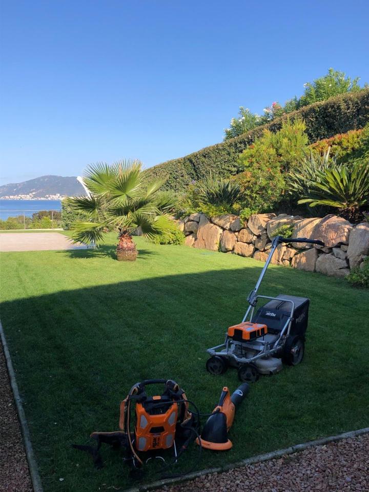 Entretien jardin vert Ajaccio