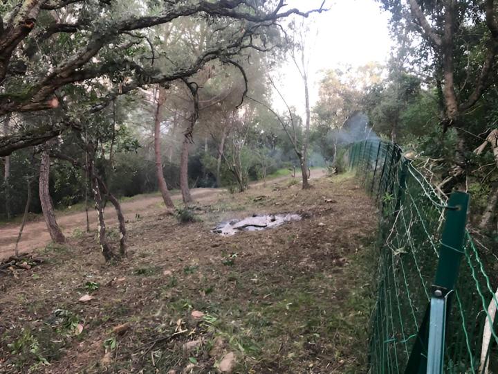 Nous assurons le débroussaillage de votre espace vert.