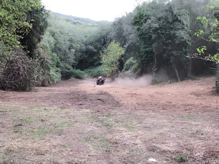 Débroussaillage, Ocana