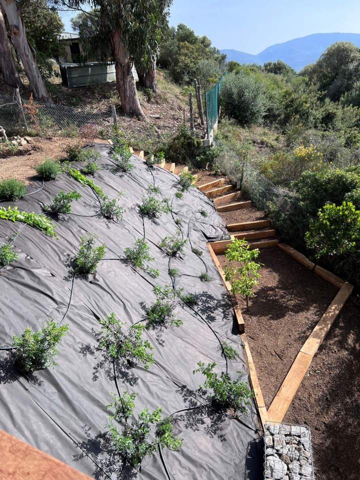 végétalisation de talus Propriano